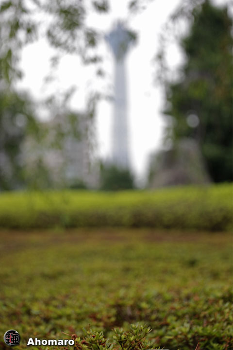 写真00
