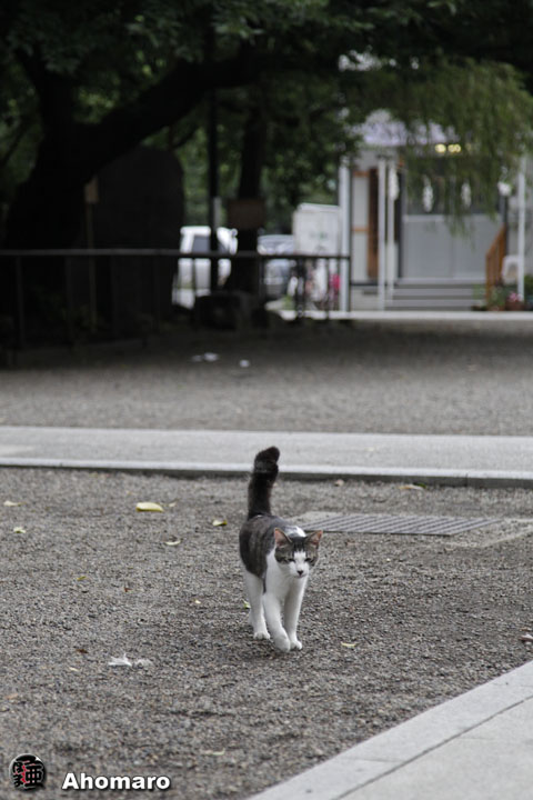 写真00