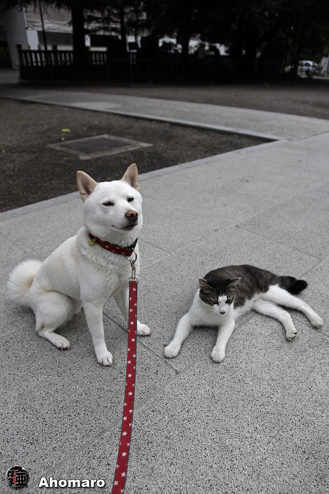 写真00