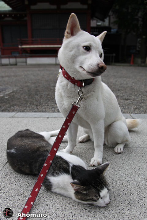写真00