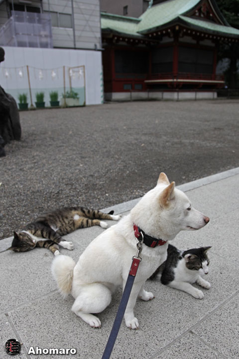 写真00
