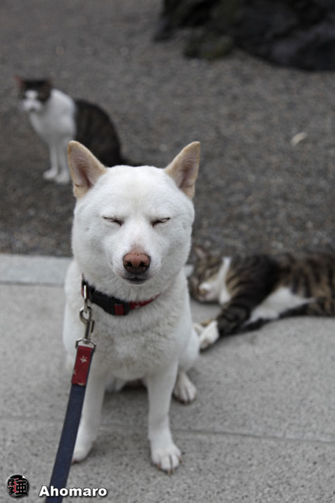 写真00