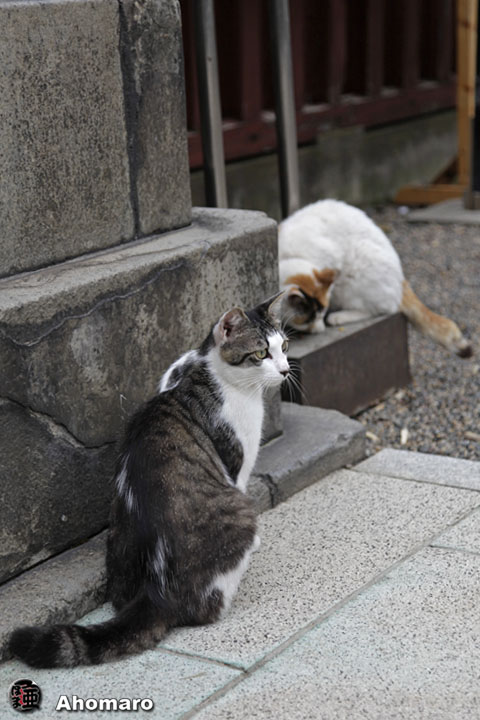 写真00