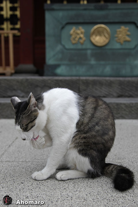 写真00