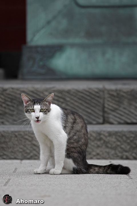 写真00