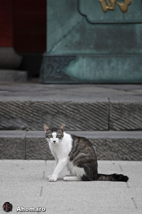 写真00