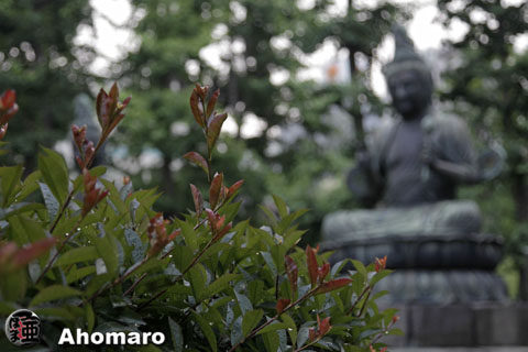 写真00