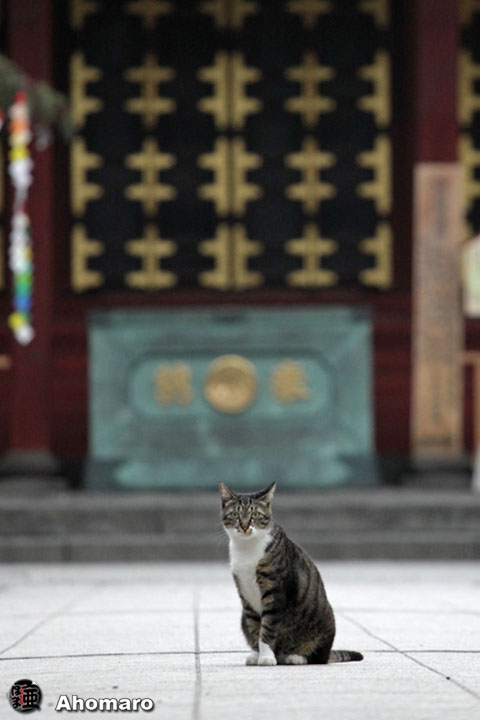 写真00