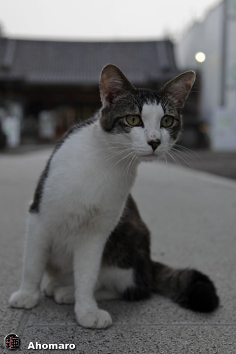写真00