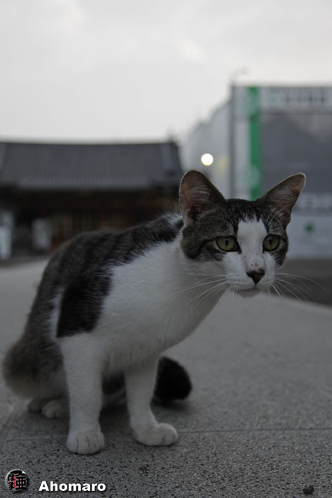 写真00