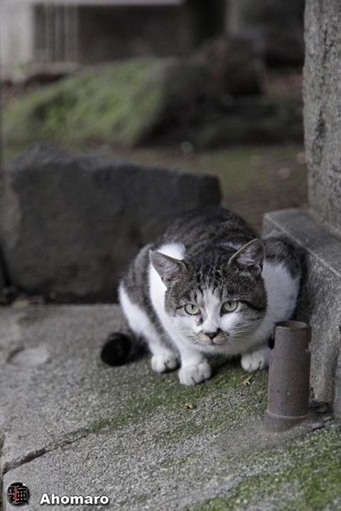 写真00
