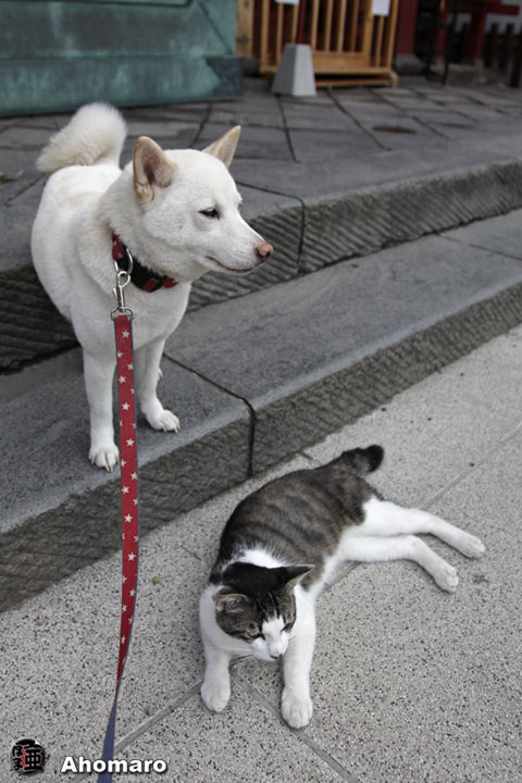 写真00