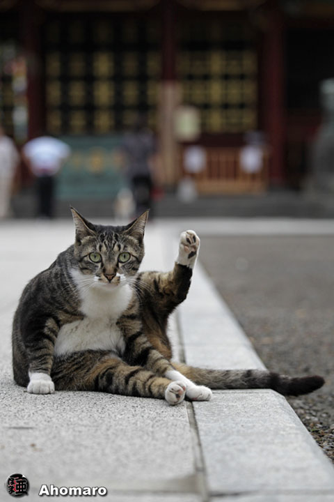 写真00