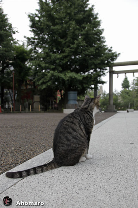 写真00