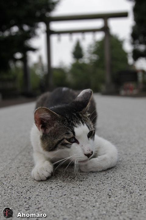 写真00