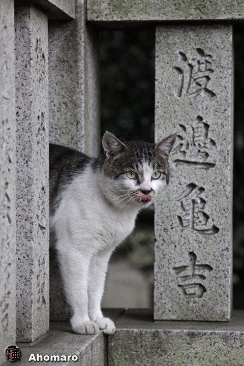 写真00