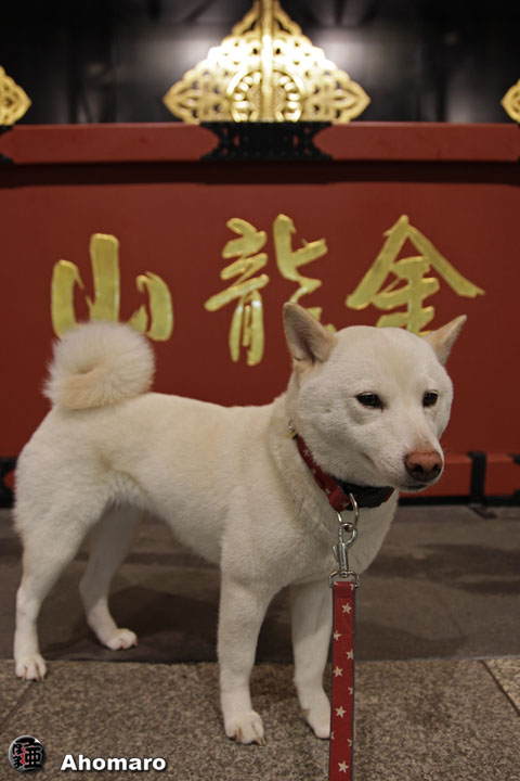 ʐ^00