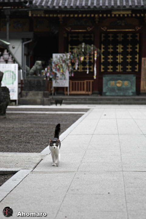 写真00