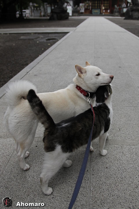 写真00
