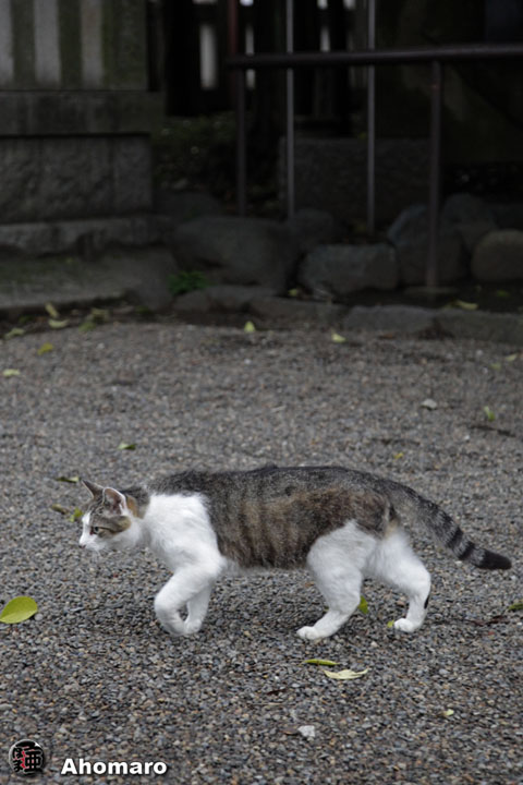 写真00