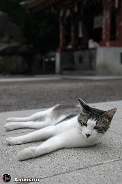 写真00