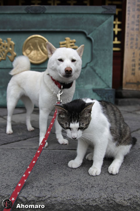 写真00