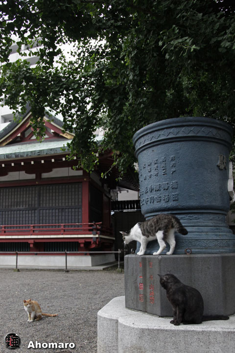 写真00