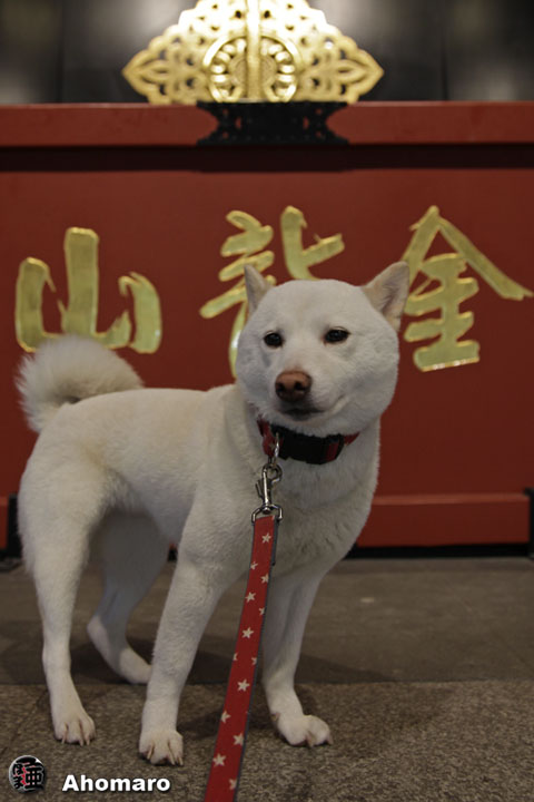 ʐ^00