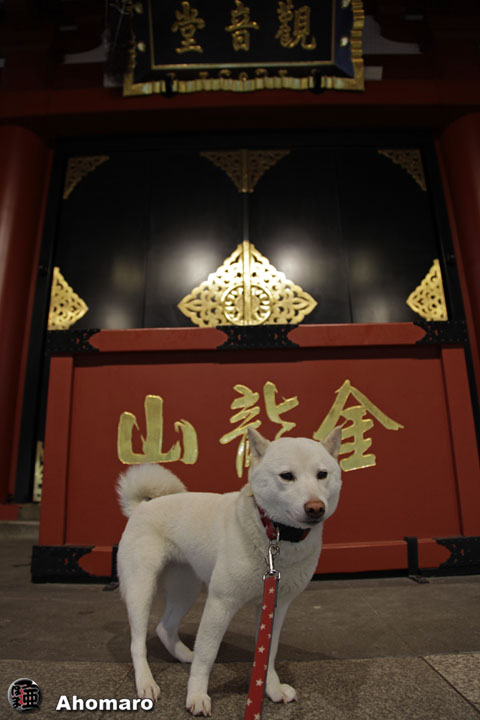 ʐ^00