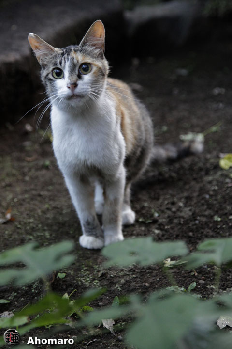 写真00