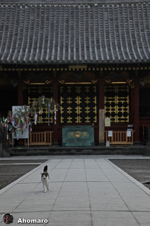 写真00