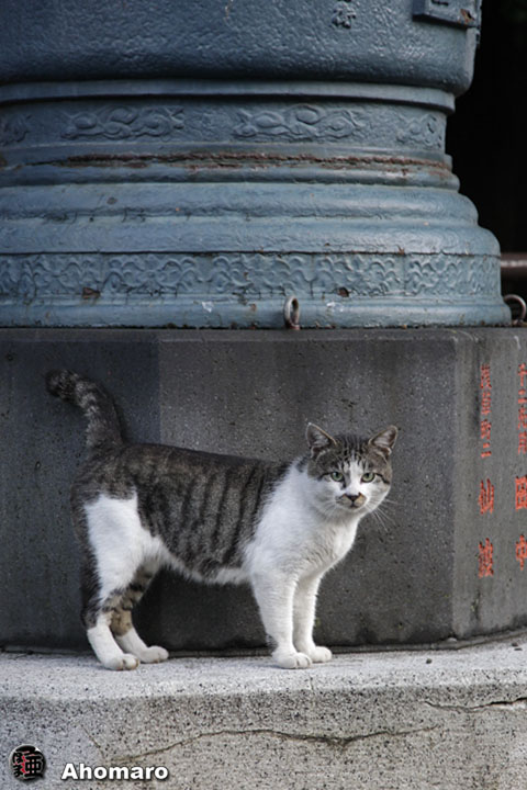 写真00