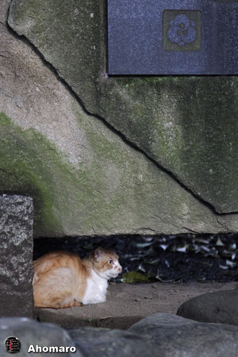 写真00