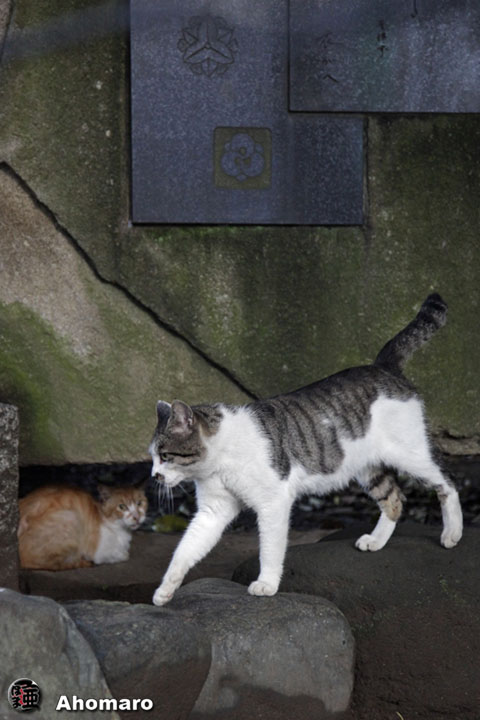 写真00