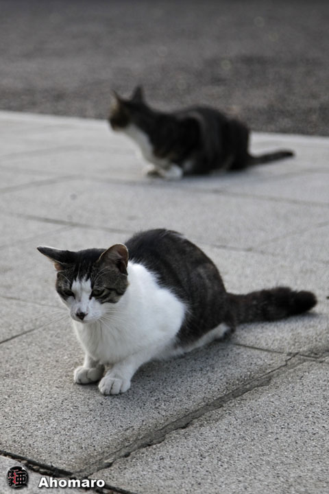 写真00
