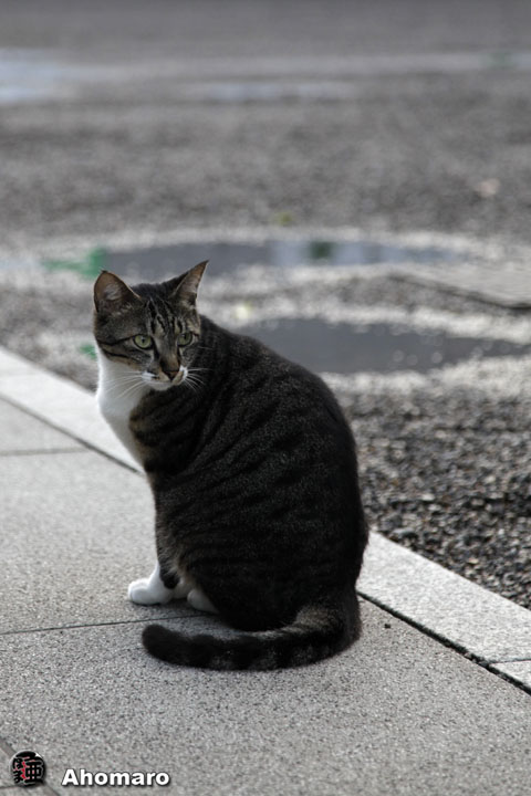 写真00
