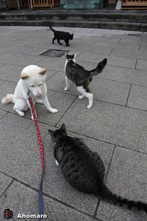 写真00
