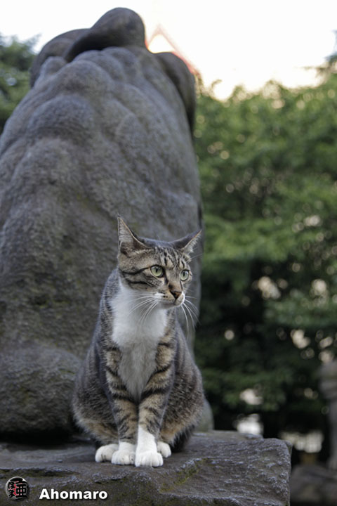 写真00