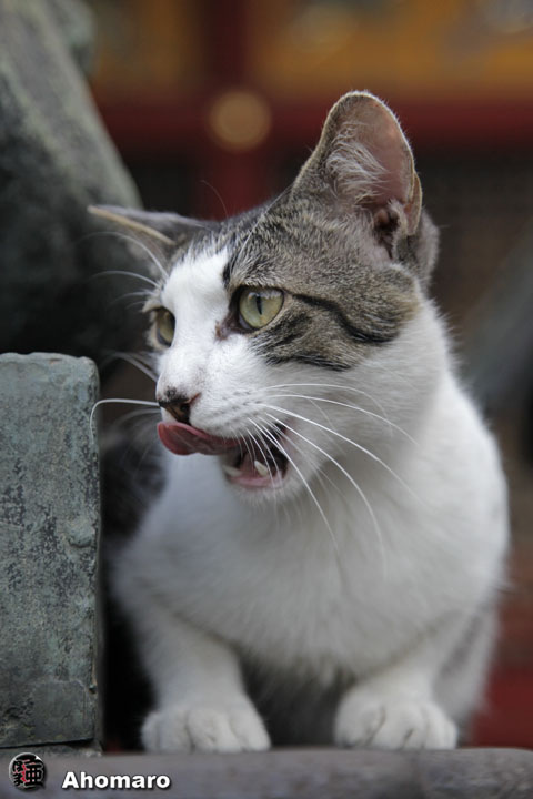 写真00