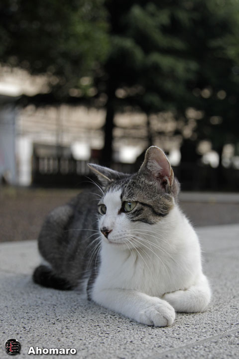 写真00