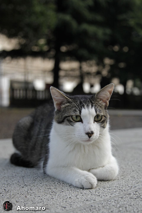 写真00