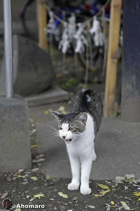 写真00