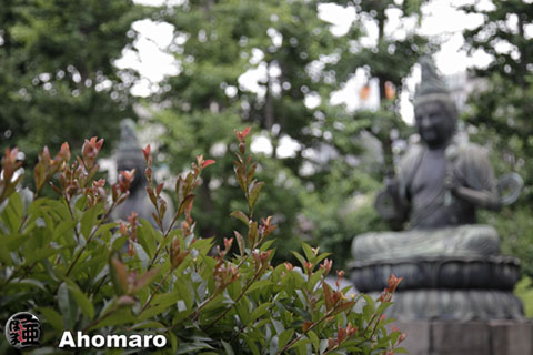 写真00