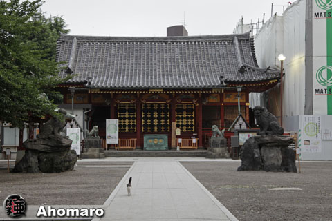 写真00