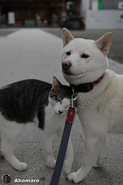 写真00