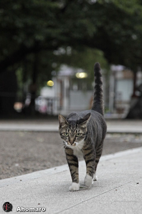 写真00