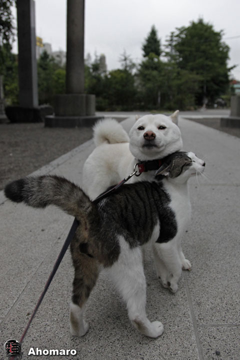 写真00