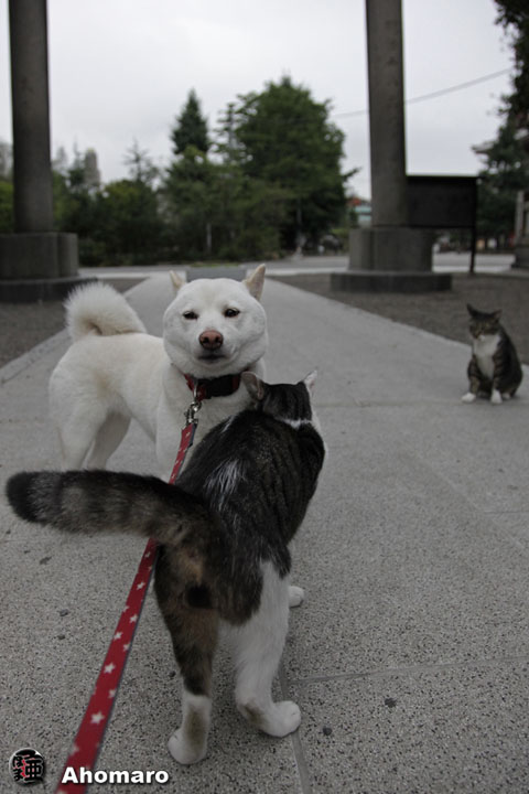 写真00