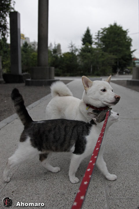 写真00