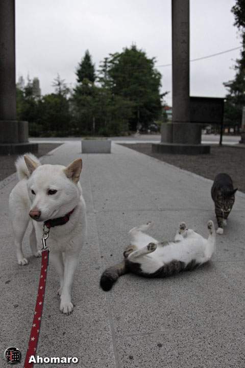 写真00